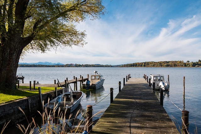 还为赛事的 还为赛事的