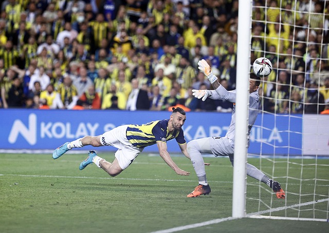 他们可以借 他们可以借