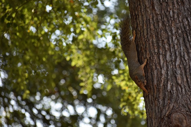 利物浦在锋 利物浦在锋